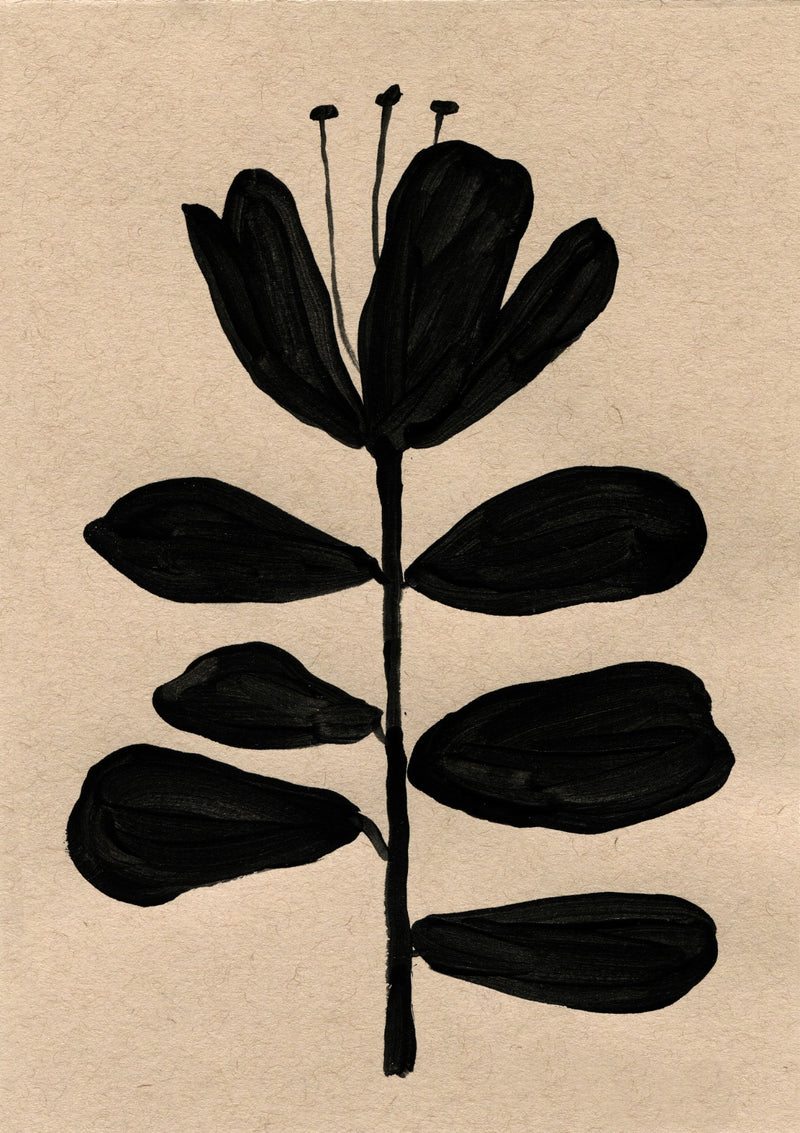 Botanical Garden, A3