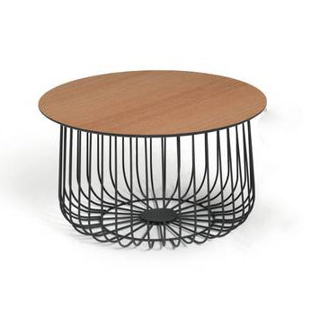 Wire Frame Bird Cage Coffee Table, 33.5x50x60cm
