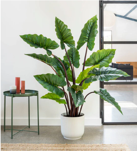 Artificial Alocasia Colocasia