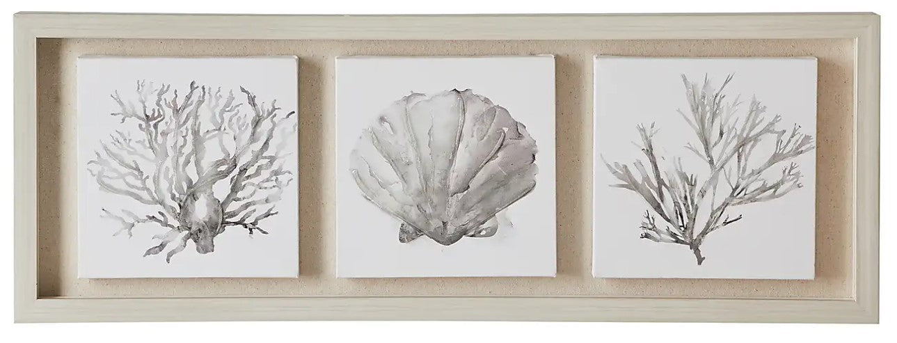 Coastal Corals Boxed Canvas, 70cm x 25cm