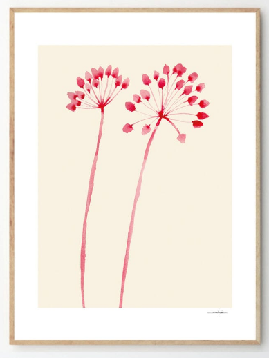 ANA FROIS Flowers 02, 30x40cm