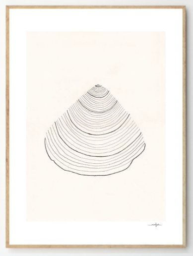 ANA FROIS Shell, 30x40cm