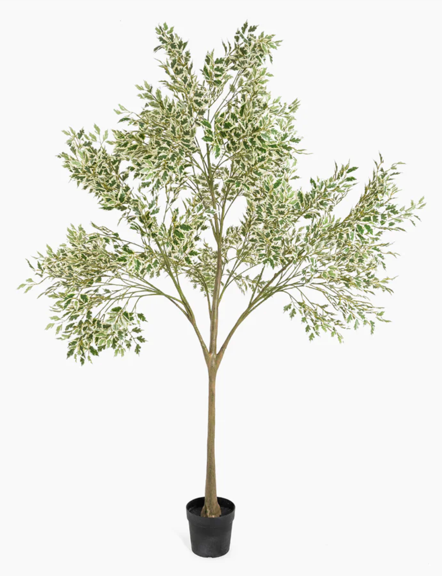 Artificial ficus anastasia, 215 CM