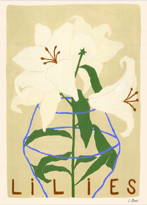 Carla Llanos, Lilies (50x70 cm)