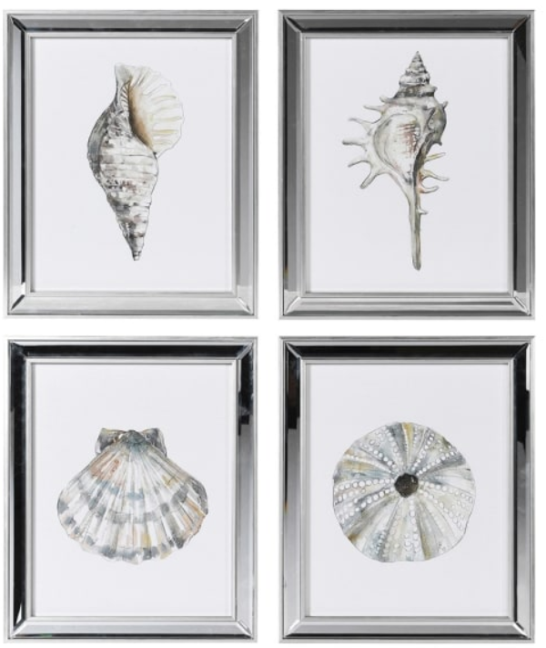 Set of 4 Shells Framed Pictures - H35 X W29CM