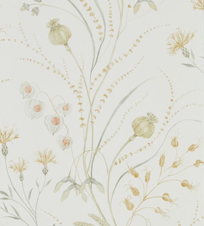 Summer Harvest Wallpaper by Sanderson, Silver Corn