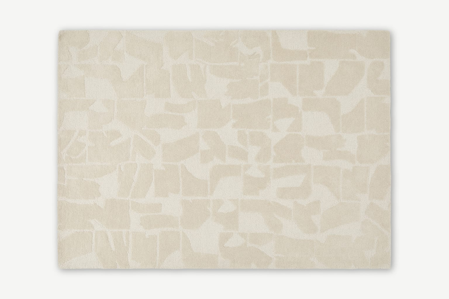 Rudzi Handtufted Wool Rug, 230x160cm