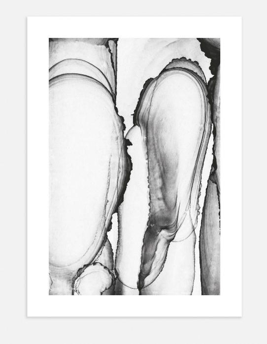 Monochrome Ink Two Poster 30x40cm