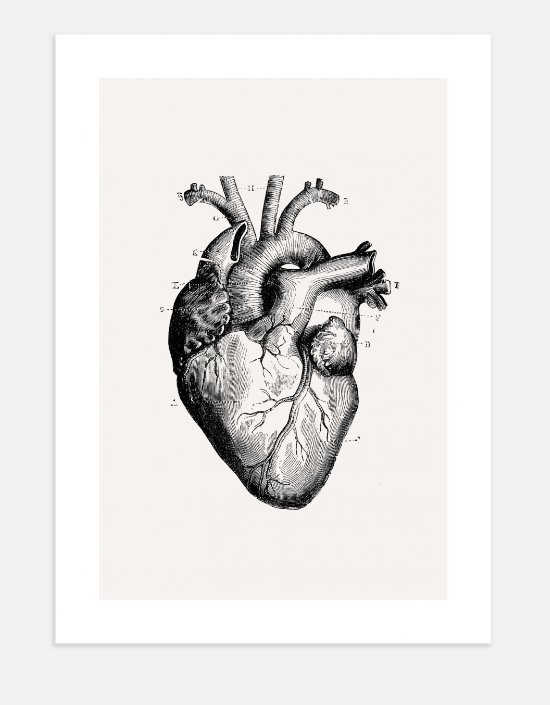 Vintage Heart Poster 40x50cm