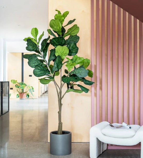 Artificial Fiddle Leaf Fig Tree, 180cm