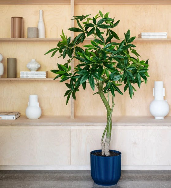 Artificial Money Tree