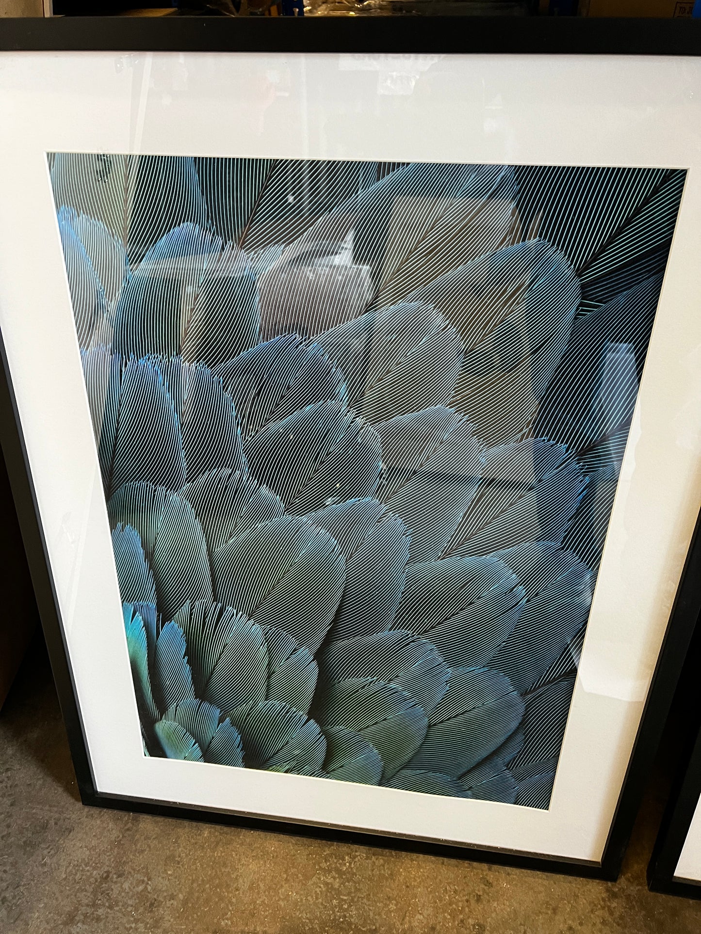 Flower Stem, 68 x 88cm, framed