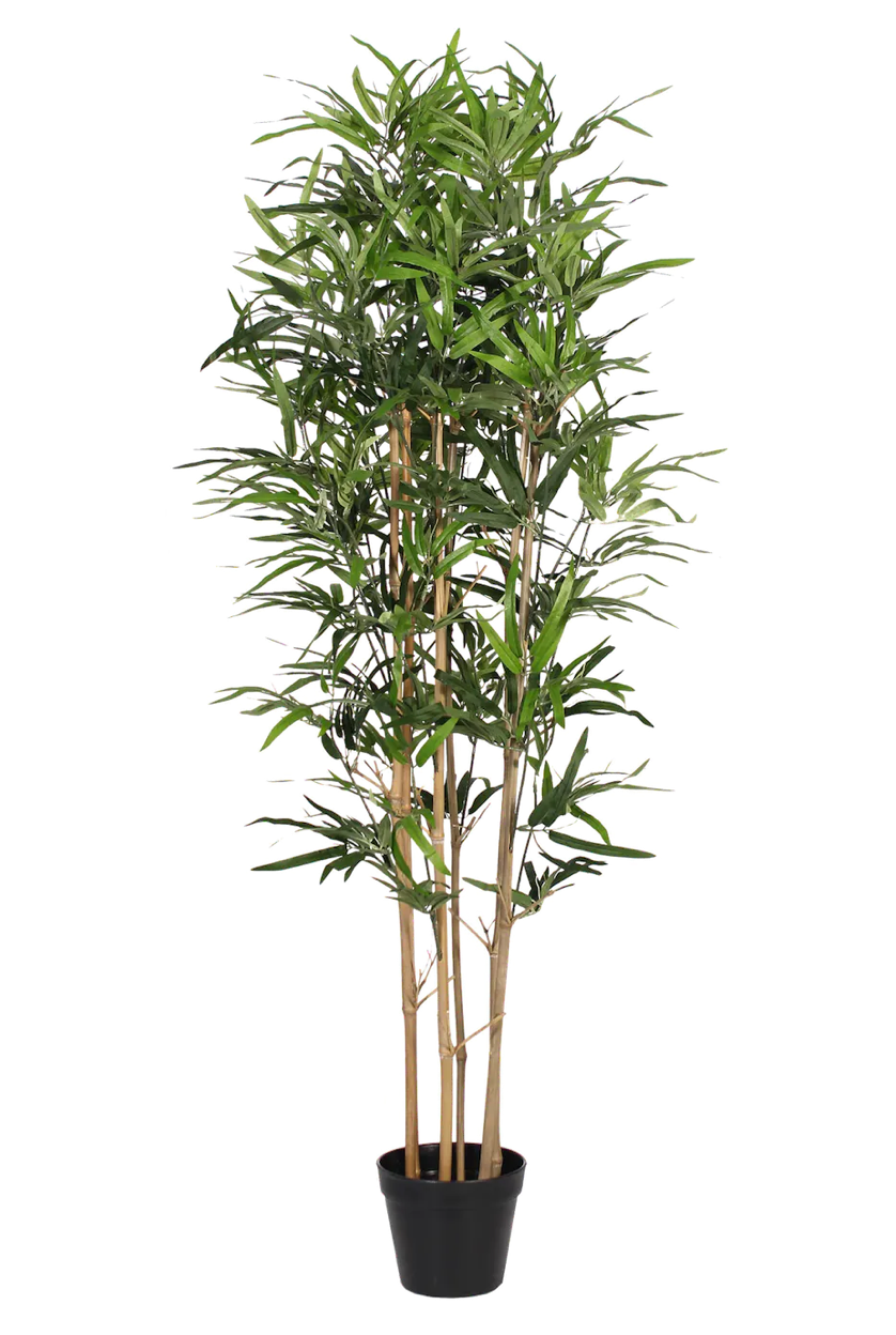 Artificial oriental bamboo