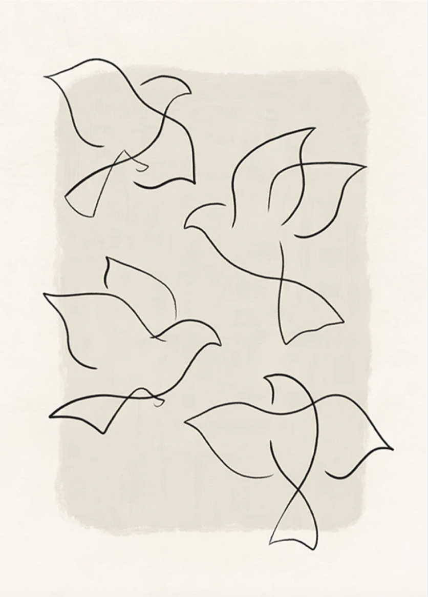 Line Art Birds Poster