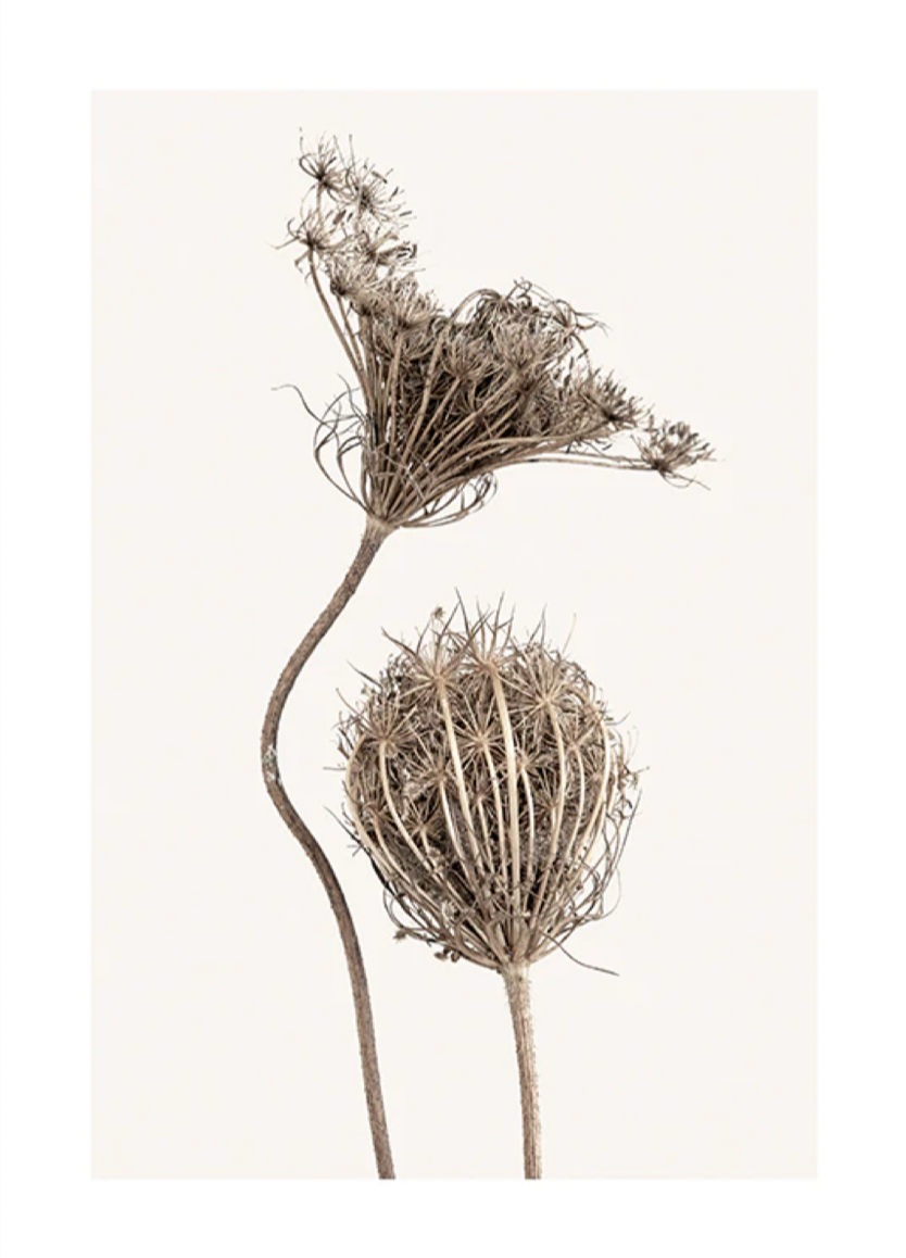 Boho Flowers Poster