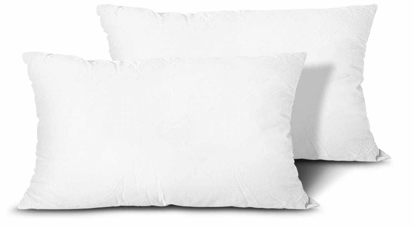 Artscope Set of 2 Premium Square Form Cushion Inner Pads 30x50cm
