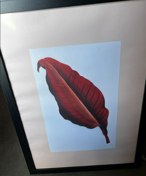 Terracota Botanical Leaf Art Print, 50x70cm, framed