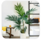 Artificial Kentia Palm