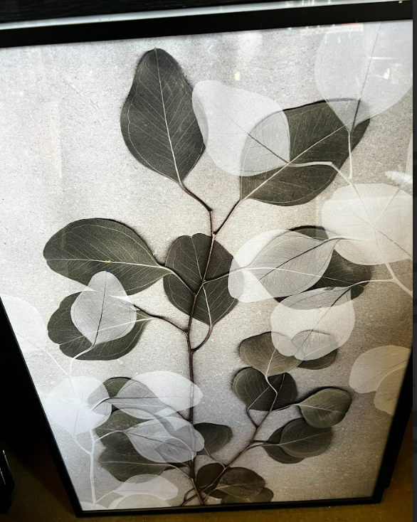 EUCALYPTUS ART NO1, 50 x 70cm, framed