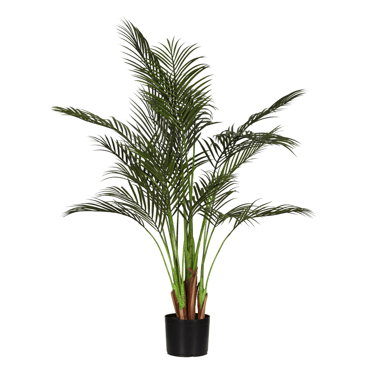 Artificial areca palm