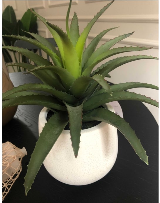 Artificial Plant