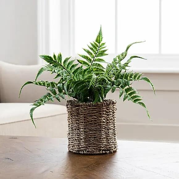 Artificial Fern Green in Rattan Pot 30cm