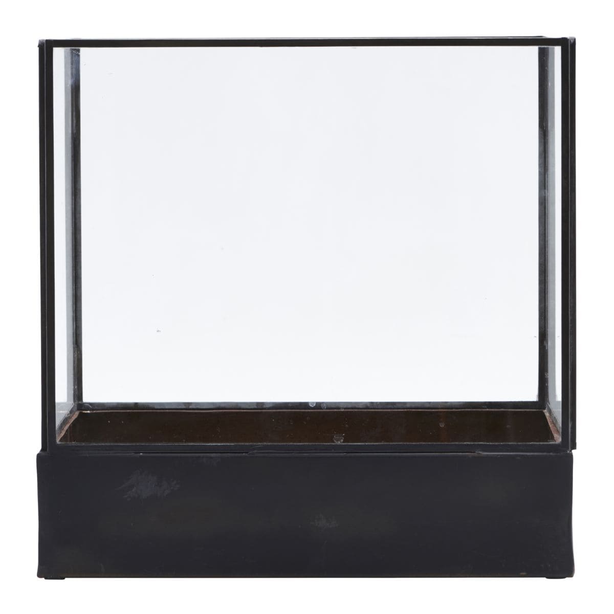 Display box, Plant, Black antique