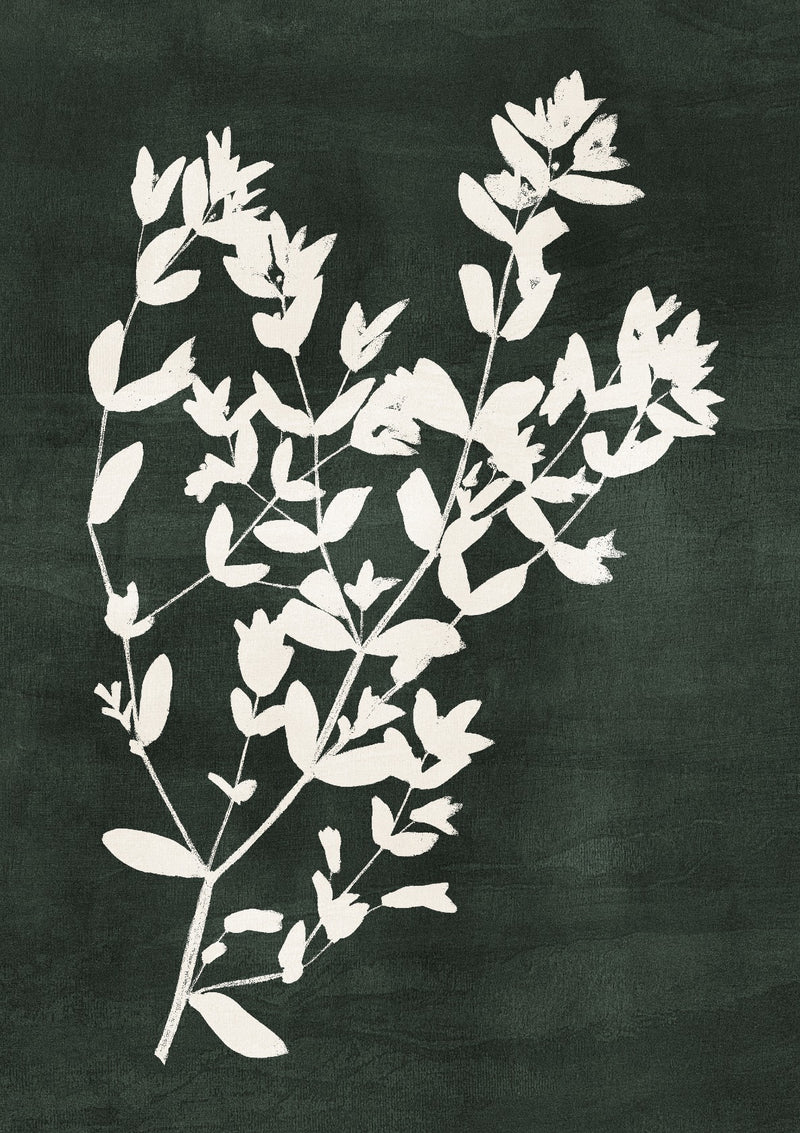 Abstract Botanical no. 9 Green, 50x70cm