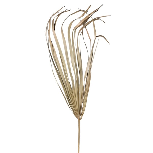 Set of 6 Natural Uncut Palm Leaves