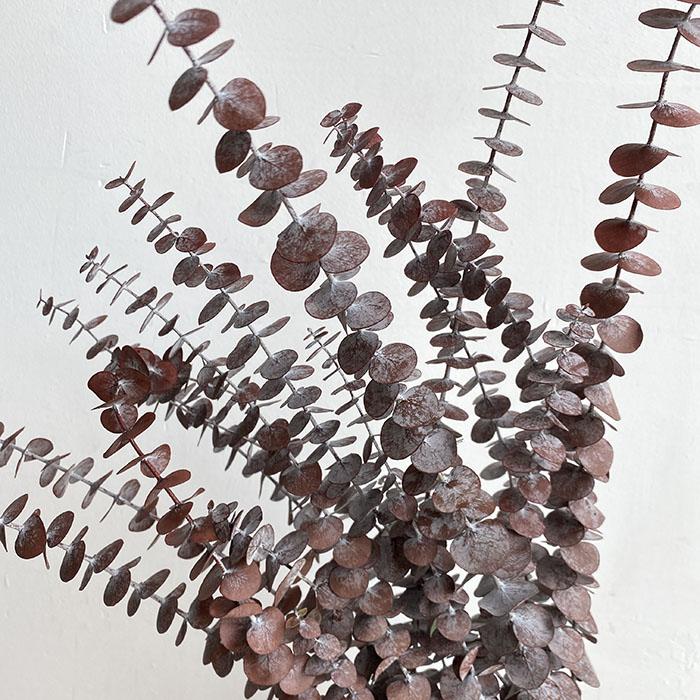 Preserved Eucalyptus Baby Blue, Burgundy Red 50-70cm