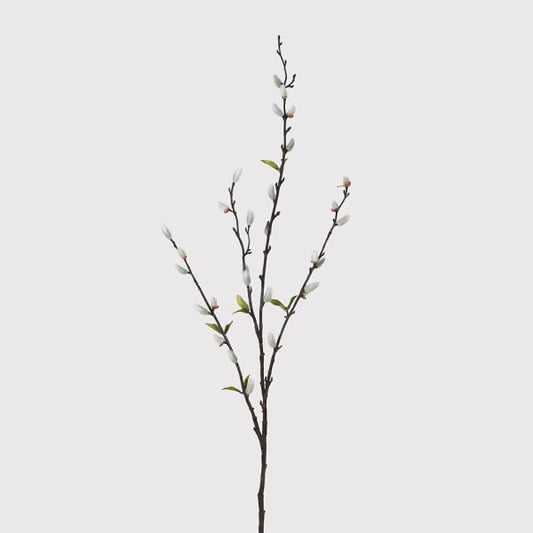 Natural Pussy Willow Stem with Leaves