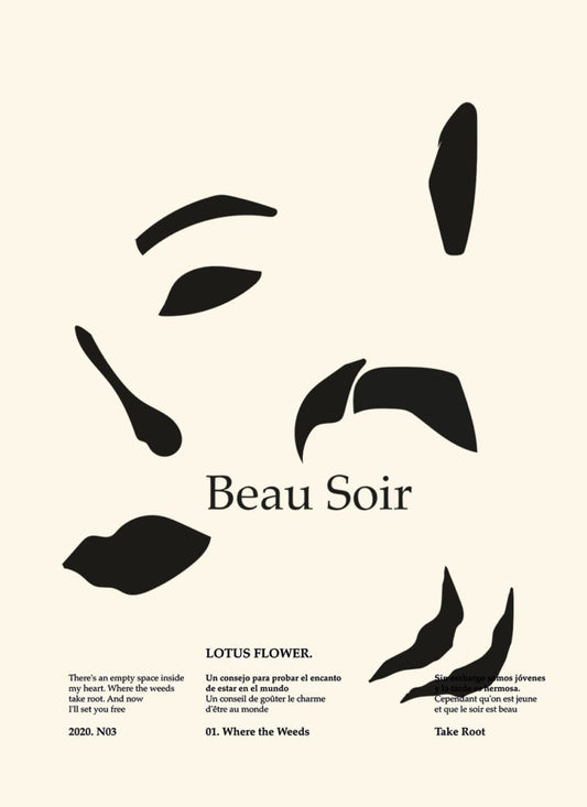 Beau Soir  Lucrecia Rey Caro, 50x70cm