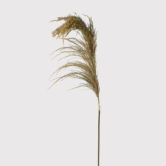 Real Dried Wheat Spray