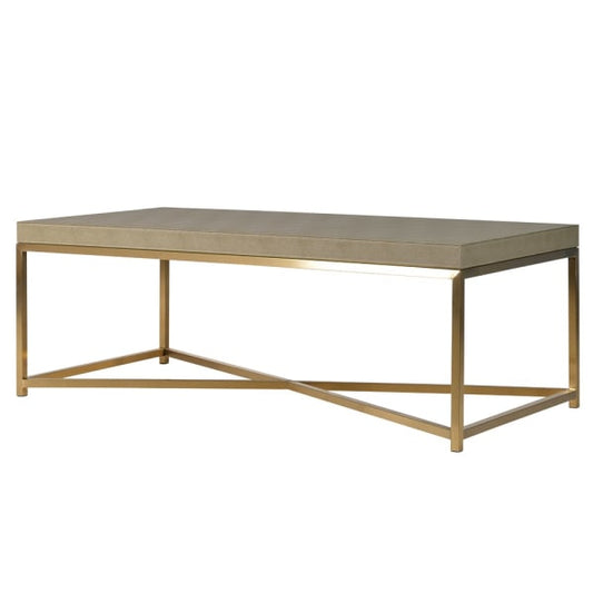 Maxim Sage Faux Shagreen Coffee Table - H42.5 X W60 X L120CM