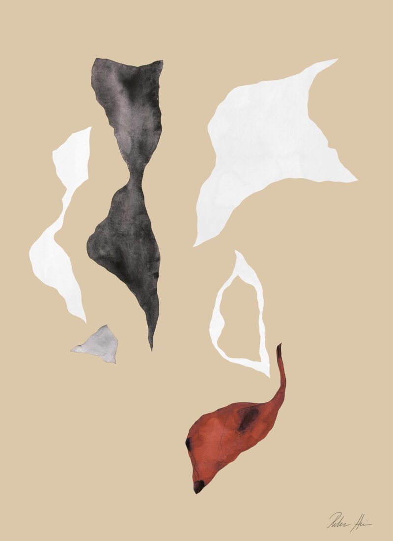 Shadow no. 01  Rebecca Hein