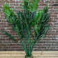 Artificial Foliage Topiary in Pot