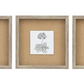 Monochrome Botanical Framed Art Trio