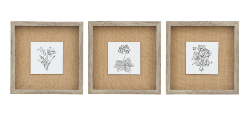 Monochrome Botanical Framed Art Trio