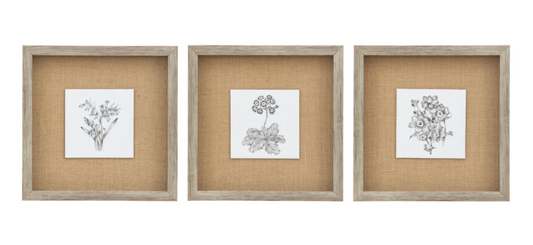 Monochrome Botanical Framed Art Trio