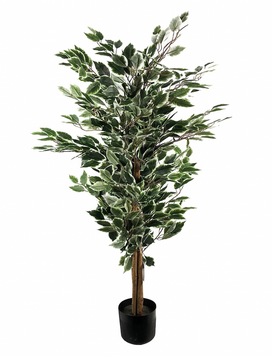 Leaf Artificial Ficus Tree/Plant, Mixed Materials, Variagated Tall Natural, 130cm