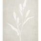 Lavender Silhouette Poster 50 x 70cm