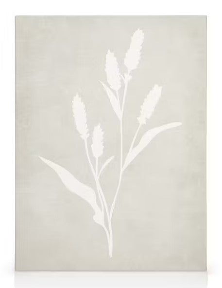 Lavender Silhouette Poster 50 x 70cm