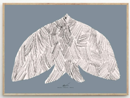 MATÍAS LARRAÍN Oiseau, 50 x 70cm