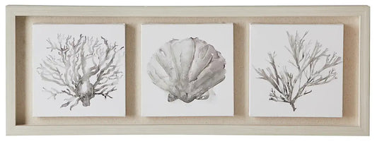 Coastal Corals Boxed Canvas, 70cm x 25cm