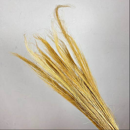 Dried Broom Grass, Bleached Neutral Shades 65cm