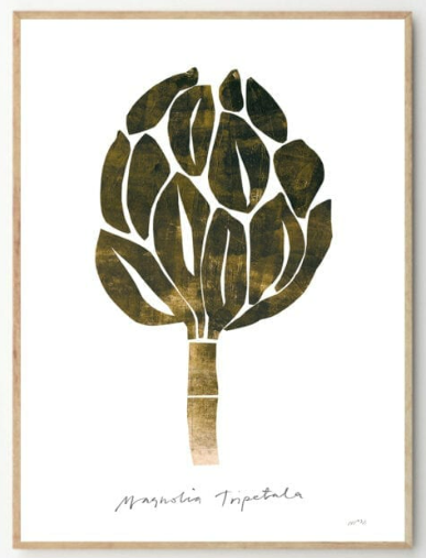 NYGÅRDS MARIA BENGTSSON Magnolia, 30x40cm