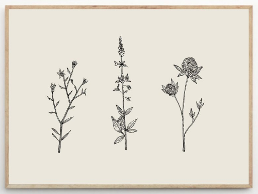 CHLOE PURPERO JOHNSON Three Friendly Bushels, 50x70cm