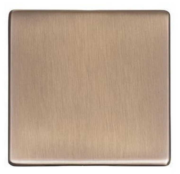 Studio Range Single Blank Plate in Antique Brass
