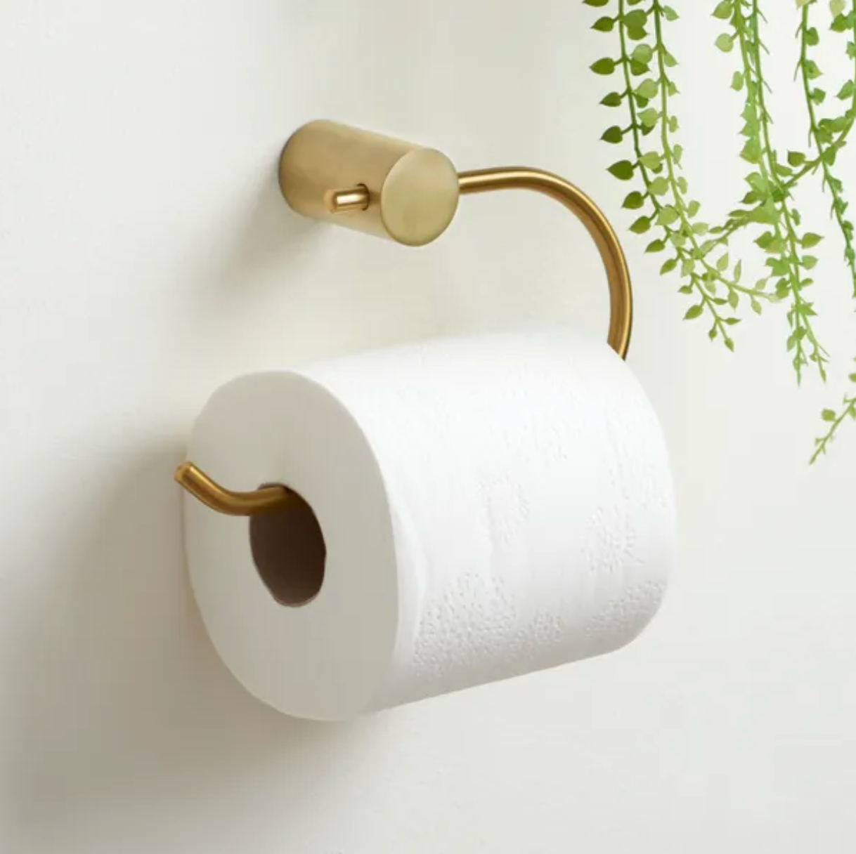 Curves Toilet Roll Holder