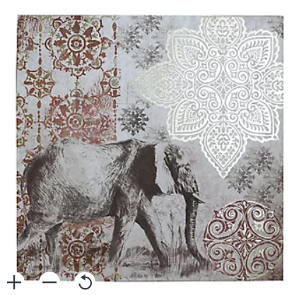 Elephant Canvas art, 80x80cm